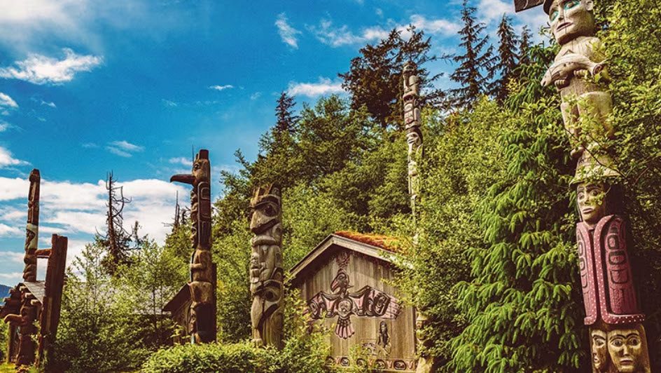 A wooden house with a lot of trees around it