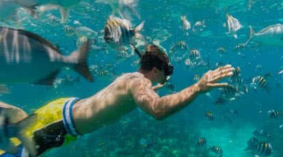 A man swimming in the ocean with fish.