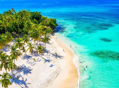 A beach with palm trees and people swimming in the water.