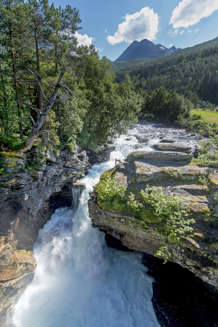 A waterfall is shown in the middle of a forest.