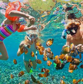 A group of people swimming in the ocean.