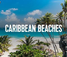 A beach with palm trees and the words caribbean beaches