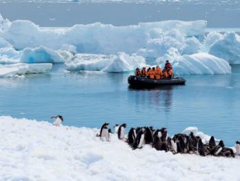 A group of penguins on the snow next to an ice floe.